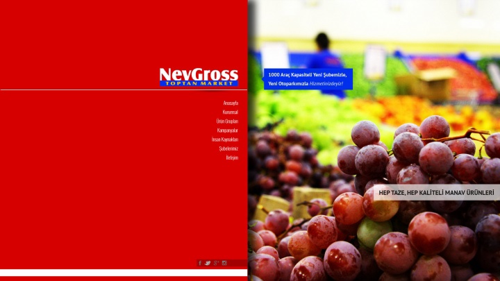UX Ajans Yazılım ve Medya Hizmetleri Nev Gıda - Nev Gross, Web Tasarım ve Yazılım Projesi-3
